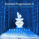 cover: Airborne Us|Jenni Potts|Roman Akrill|Roman Hope - Evolved Progressions 4