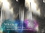 cover: Soulbeat - Matter Of Time