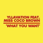 cover: Miss Coco Brown|Yllavation - What You Want