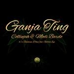 cover: Collinjah|Modi Bardo - Ganja Ting