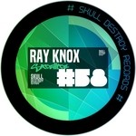 cover: Ray Knox - Satellite