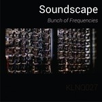 cover: Bunch Of Frequencies - Soundscape