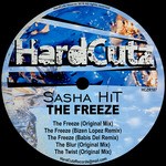 cover: Sasha Hit - The Freeze