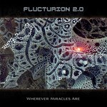 cover: Flucturion 20 - Wherever Miracles Are