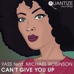 cover: Michael Robinson - Can't Give You Up