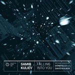 cover: Samir Kuliev - Falling Into You