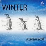 cover: Various - Winter Selection Vol 2