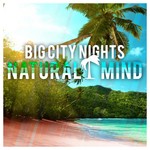 cover: Natural Mind - Big City Nights