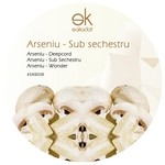 cover: Arseniu - Sub Sechestru