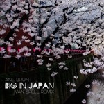 cover: Ane Brun - Big In Japan