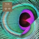 cover: Fhin - A Crack In The Eyes