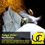 cover: Tolga Diler - Mevlevism