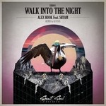 cover: Alex Hook|Alex Hook Feat Shyam P - Walk Into The Night