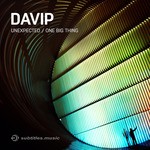 cover: Davip - Unexpected/One Big Thing