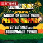 cover: House Of David Gang - Reggae Warrior