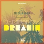 cover: Freischwimmer - California Dreamin