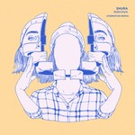 cover: Shura - Indecision