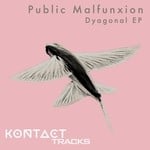 cover: Public Malfunxion - Dyagonal