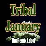 cover: Various - Tribal January/Vibrant House Music Compilation