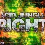 cover: Acid Jungle - Right