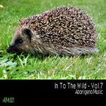 cover: Boy Funktastic|Various - In To The Wild Vol 7