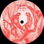 cover: Vakarm - Voices