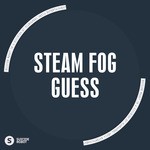 cover: Steam Fog - Guess