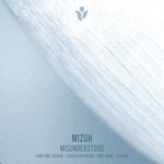 cover: Mizuh - Misunderstood