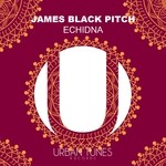 cover: James Black Pitch - Echidna