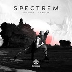 cover: Spectrem - Culture/Shaolin