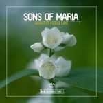 cover: Sons Of Maria - What It Feels Like