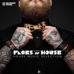 cover: Various - Faces Of House Vol 27