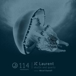 cover: Jc Laurent - Skulls & Quartz