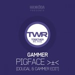 cover: Gammer - Pigface