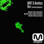 cover: Hux (them Noisy Neighbours)|Nrky|Numbers - What Not To Wear