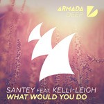 cover: Kelli-leigh|Santey - What Would You Do