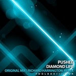 cover: Pushee - Diamond Life