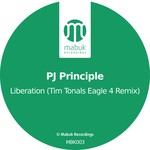 cover: Pj Principle - Liberation