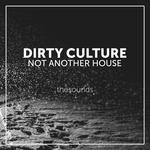 cover: Dirty Culture - Not Another House