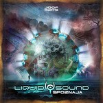 cover: Liquid Sound - Ovde I Sada