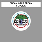 cover: Dream Your Dream - Flipside