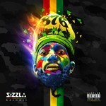 cover: Sizzla - 876