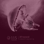 cover: Afrozoid - Indecent Express EP