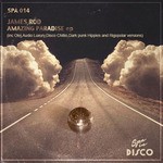 cover: Audio Luxury|Dark Punk Hippies|Disco Chill|James Rod|Olej|Rigopolar - Amazing Paradise