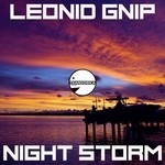 cover: Leonid Gnip - Night Storm