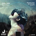 cover: Jamie Fullick - Picture Perfect