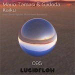 cover: Gjidoda|Mario Tamasi - Kaiku