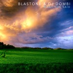 cover: Blastone|Dj Dombi - What You Said