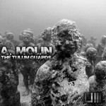 cover: A Molin - The Tulum Guards