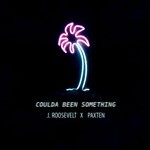 cover: J Roosevelt - Coulda Been Something